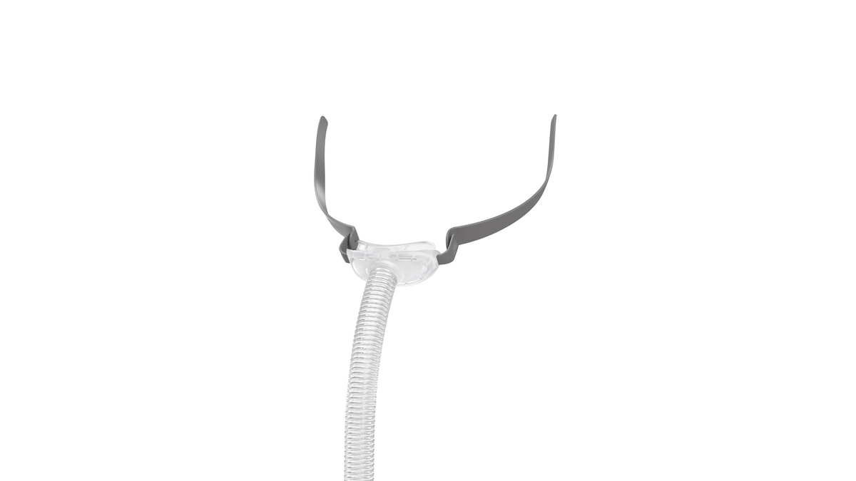 Resmed AirFit N30 Frame - ResMed -  NSW CPAP